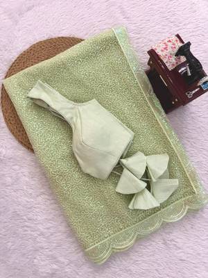 Light-green net sequins work embroidered saree 2