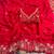 Red tissue zari work embroidered saree