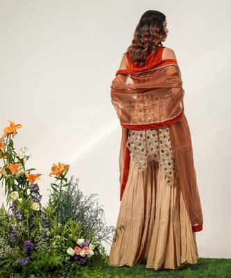 Golden and rust embroidered glass tissue and cotton sharara set 2