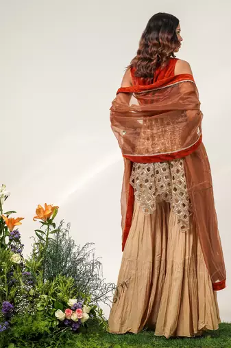 Golden and rust embroidered glass tissue and cotton sharara set