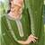 Green georgette embroidered kurta set