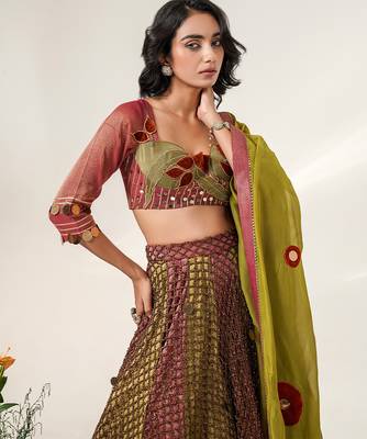 Multicolor Embroidered Organza Cotton Tissue Lehenga Set 2