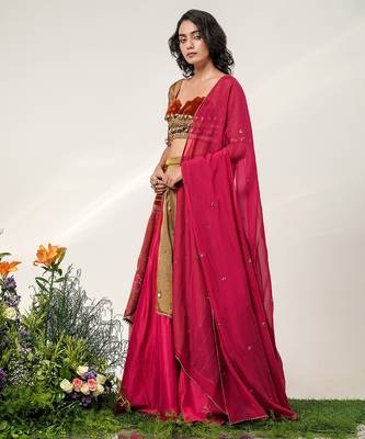 Fuchsia Pink Embroidered Organza And Velvet Lehenga Set 2