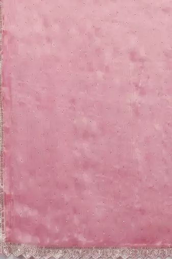 Pink ethnic motifs beads and stones  chiffon saree