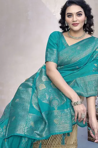 Blue ethnic motifs zari banarasi saree