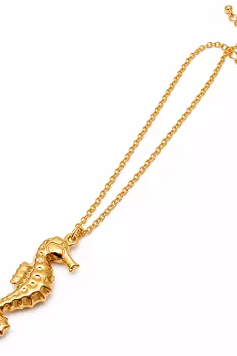 Anti-Tarnish Golden Seahorse Charm Pendant Necklace – Elegant Ocean-Inspired Designer Neck Chain
