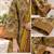Mustard blended cotton printed kurta sets