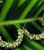GreenWhiteGhungrooClusterBali