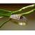 Bracelet studded with wine color zircon stone