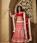 Red Net embroidered lehenga-choli