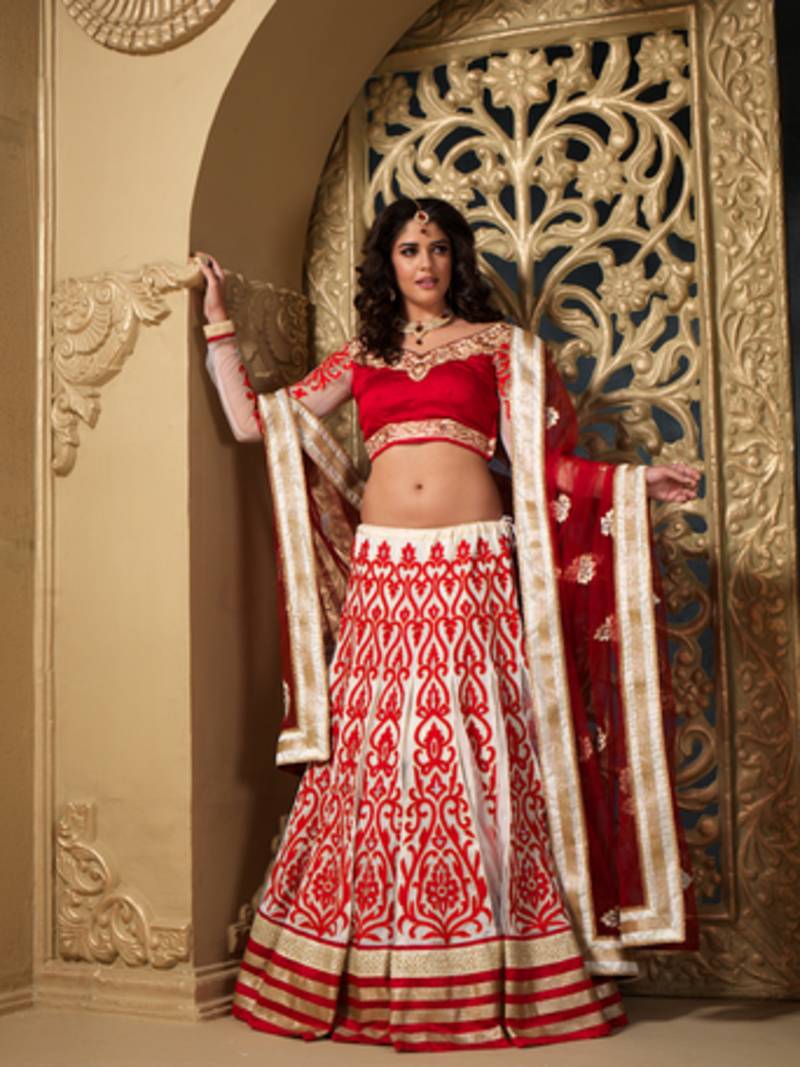 Red Net embroidered lehenga-choli