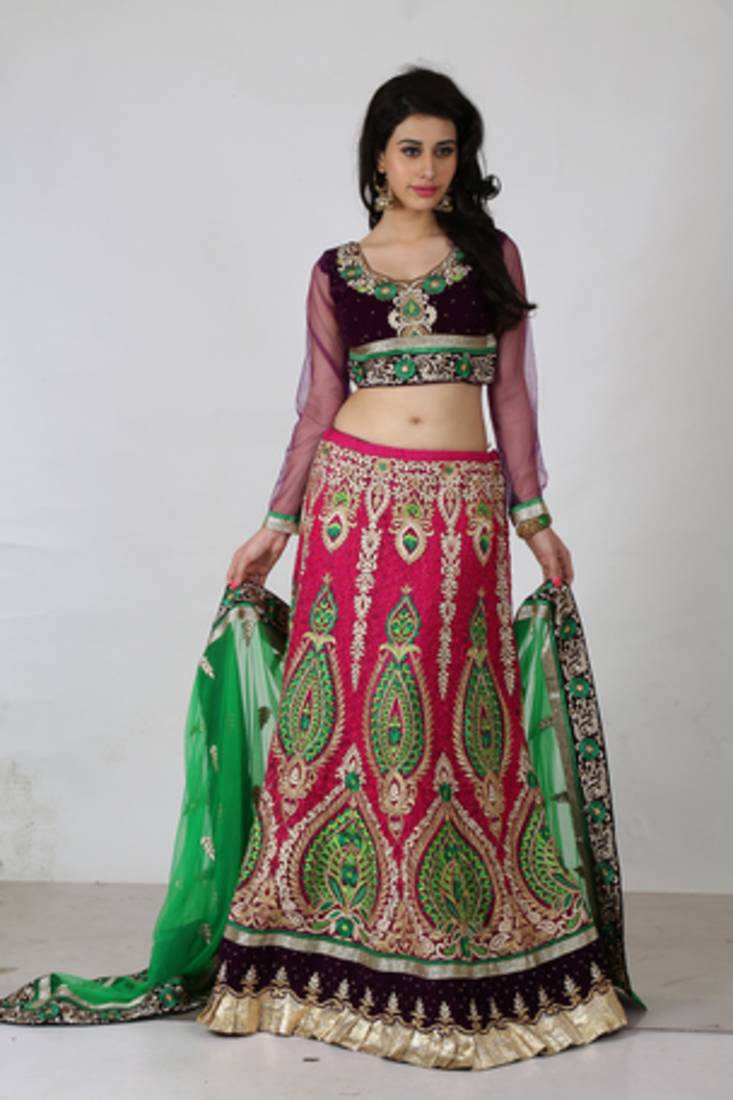 Multicolor Net embroidered lehenga-choli