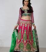 Multicolor Net embroidered lehenga-choli