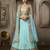 Blue Net embroidered lehenga-choli