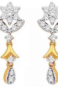 Traditional Shape Earring
