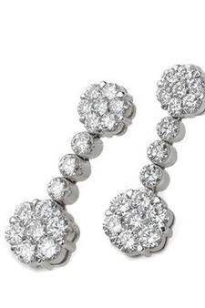 Traditional Shape Earring