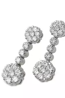 Traditional Shape Earring