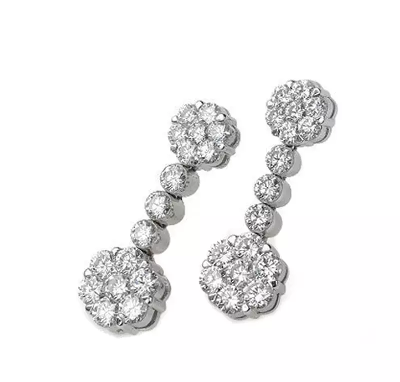 Traditional Shape Earring
