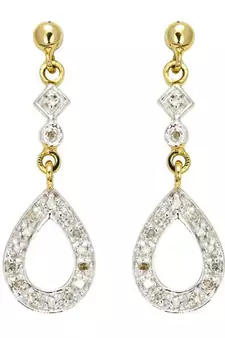 Traditional Shape Earring