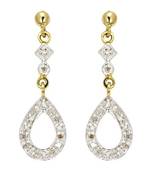 Traditional Shape Earring