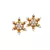Star Shape Earring