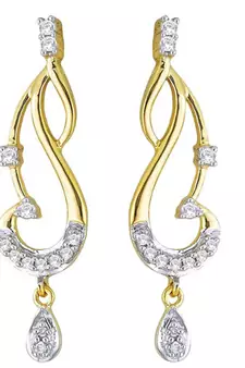 Traditional Shape Earring
