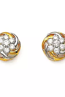 Fancy Earring