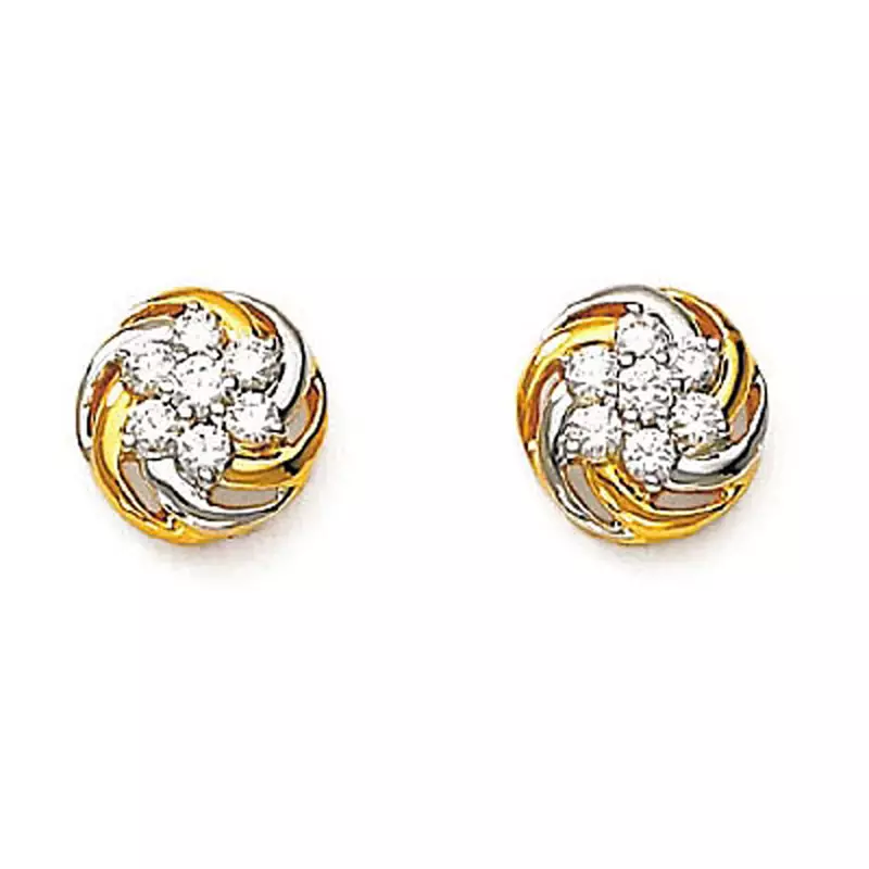 Fancy Earring