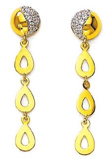 Traditional Shape Earring