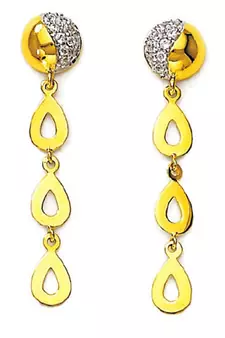Traditional Shape Earring