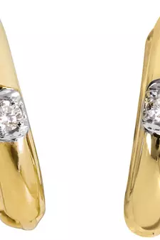 Traditional Leave Shape Earring