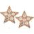 Pink Gold Plated Star Shape Earring