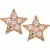 Pink Gold Plated Star Shape Earring