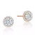 Pink Gold Plated Traditional Shape Earring