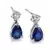 White Gold Plated Earring