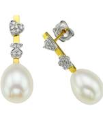 White Gold Plated Earring