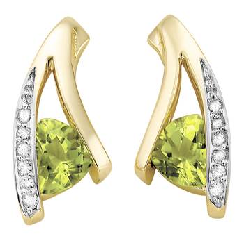 White Gold Plated Earring 1