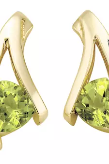White Gold Plated Earring