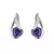 White Gold Plated Earring