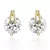 White Gold Plated Earring