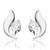 White Gold Plated Earring