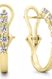 White Gold Plated Earring