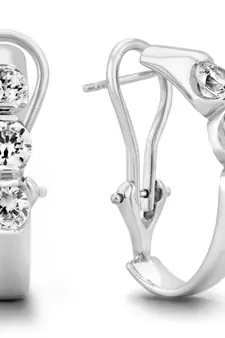 White Gold Plated Earring