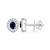White Gold Plated Earring
