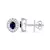 White Gold Plated Earring