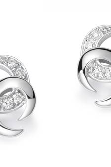 White Gold Plated Earring