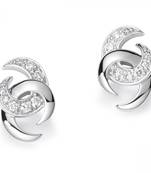 White Gold Plated Earring