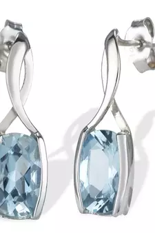White Gold Plated Earring