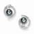 White Gold Plated Earring