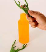 Home Accessory   Bottle Opener